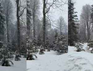 Düzce’de Yüksek Kesimlerde Kar Yağışı Etkili Oluyor