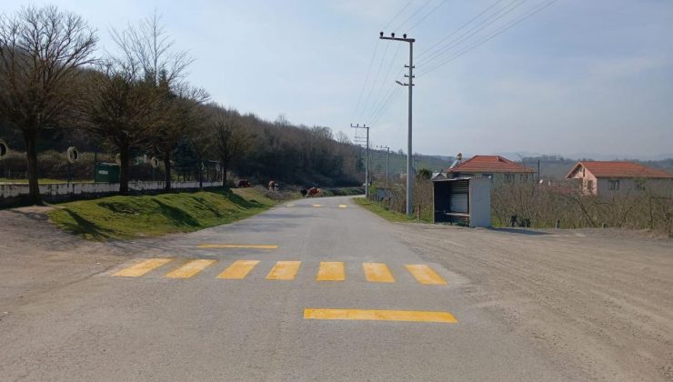 Sarıdere’de Yaya Geçidi ve Kasis Çizgileri Yenilendi