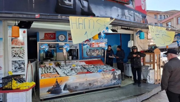 Düzce’de Av Yasağı Öncesi Balık Satış Yerleri ve İçsular Denetlendi