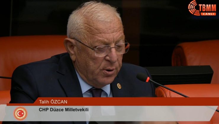 Talih Özcan’dan Meclis’te Fındık Çıkışı: “TMO Alım Fiyatı En Az 300 Lira Olmalı”