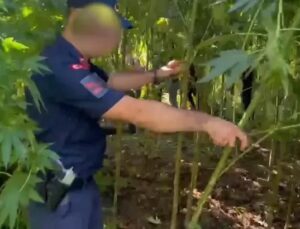 Sakarya’da Kaçakçılık ve Uyuşturucu Operasyonu
